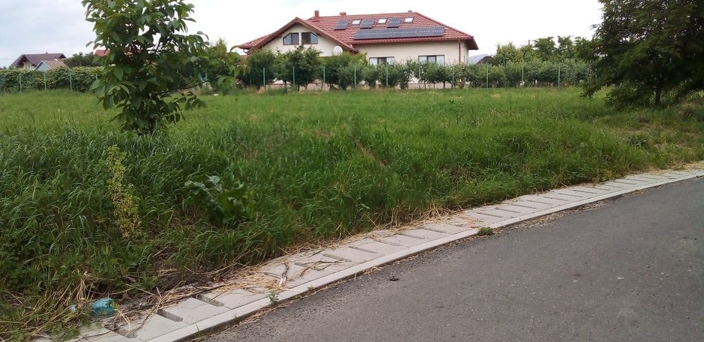 Teren intravilan de vanzare 1500 mp front 29in oraș salcea județ Suceava strada paieni Nr 30 A