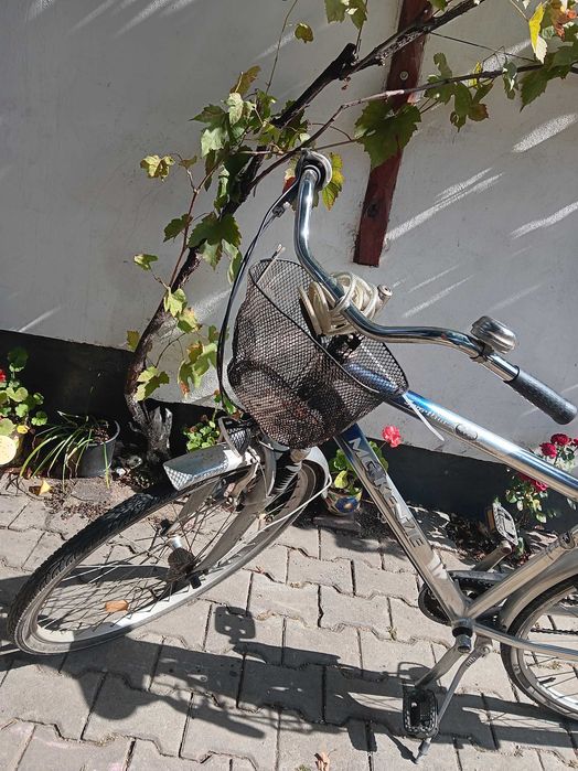 Bicicleta Mc Kenzie