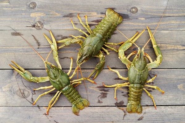 Раки,готовые,живые