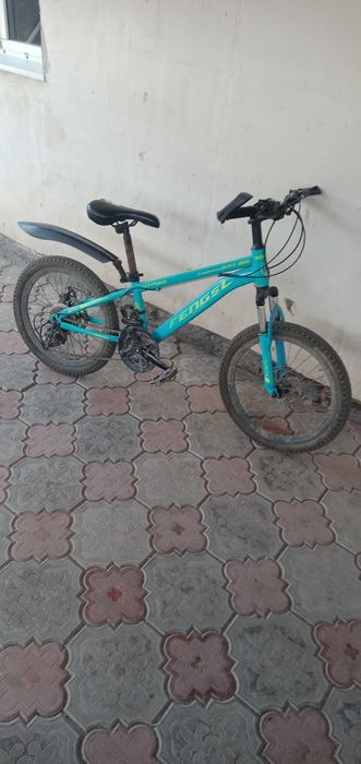 Велик сатамын көп айдалған жоқ