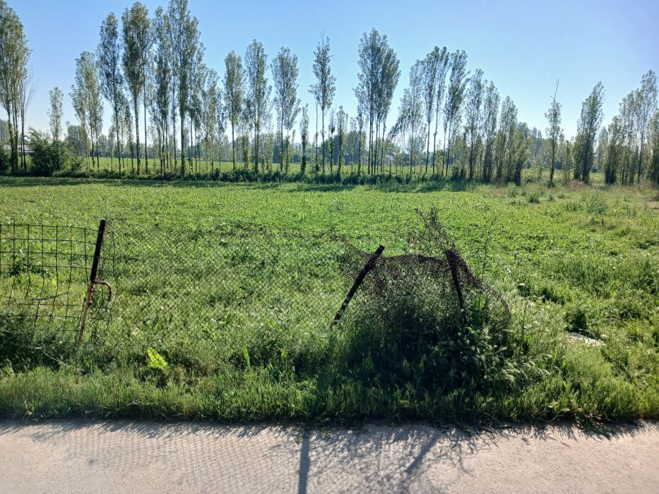 Участк в прадаиотса
