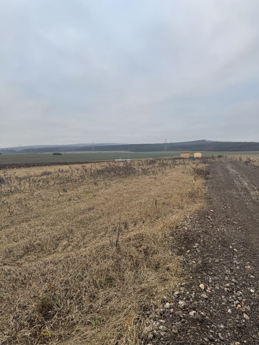 Teren Extravilan Cristur Deva Hunedoara !