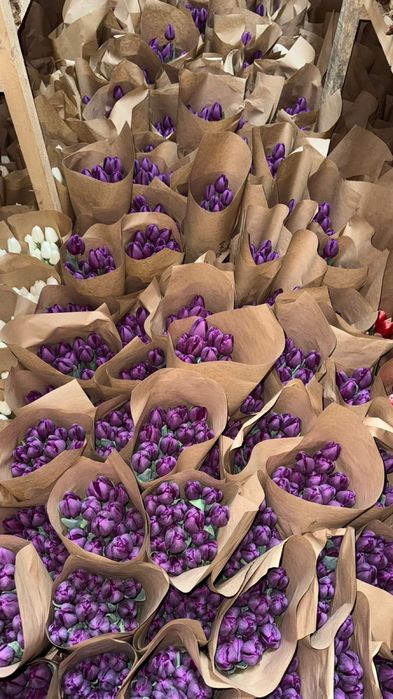 Тюльпаны 60см Алматы