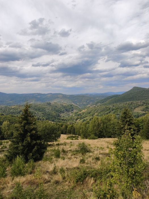 Teren intravilan in inima Muntilor Apuseni