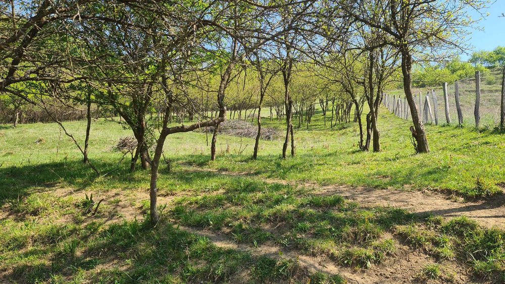 Teren intravilan Ramnicu Valcea