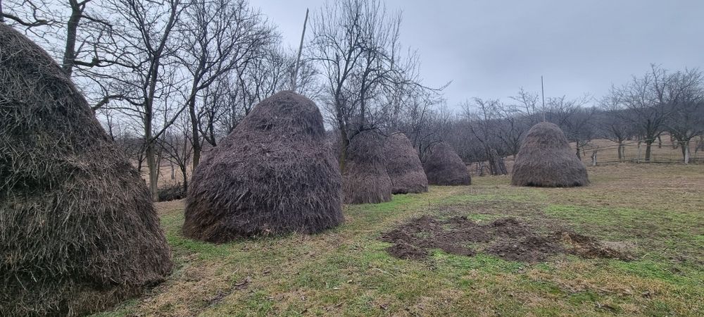 Fan de vanzare vrac și țuica
