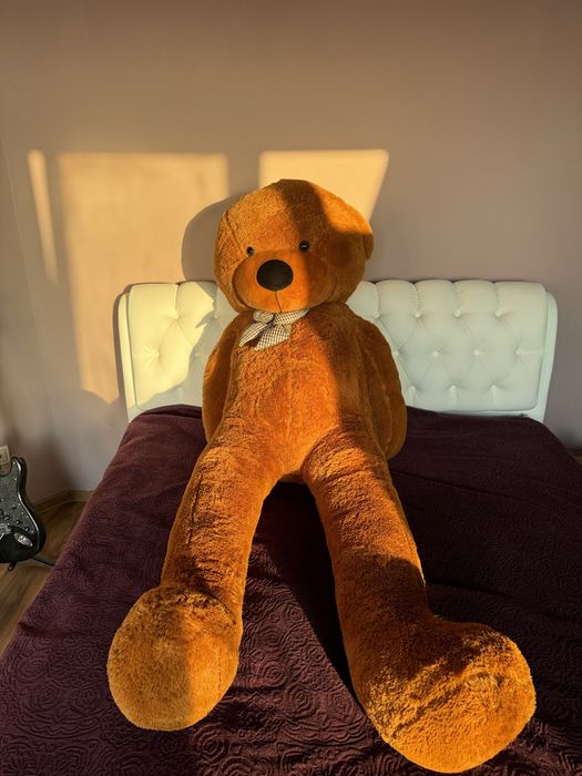 2 метровый медведь