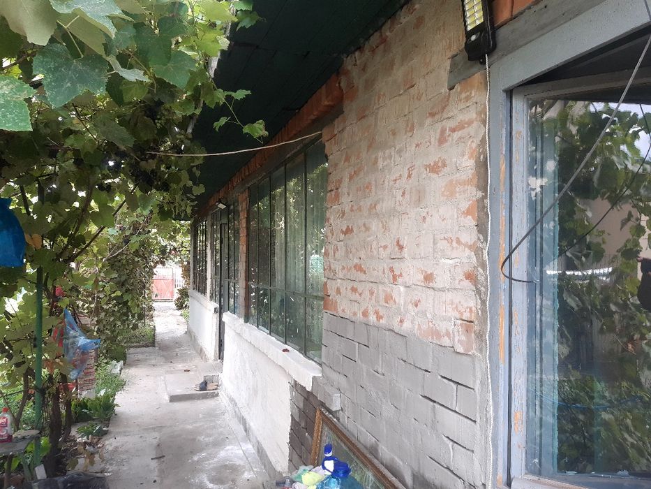 Lilieci ialomita la 20km de Bucuresti