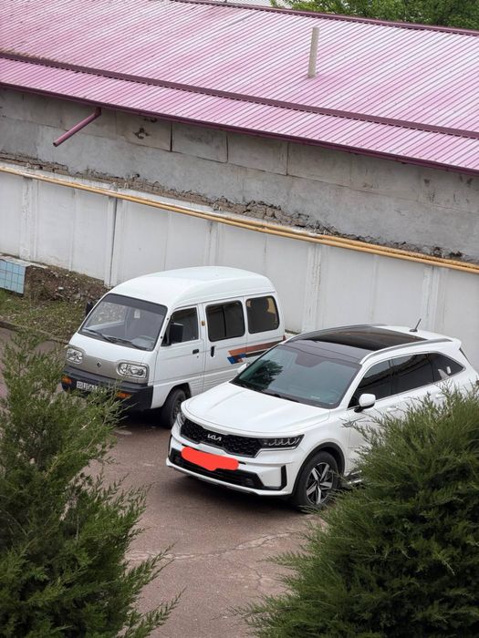 Kia sorento 2023 7 kishilik