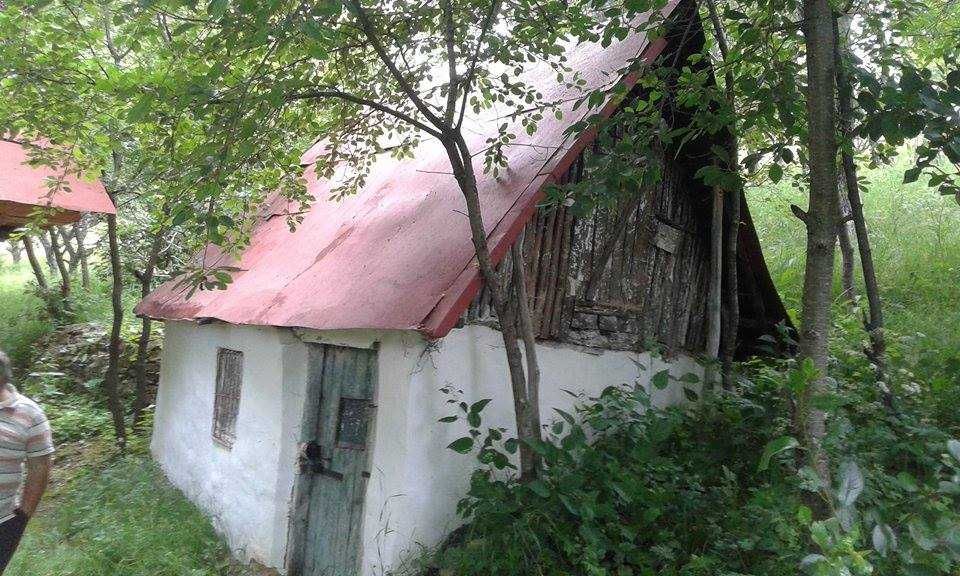 Teren Transalpina de Apuseni + casa cu anexe in com. Ramet, Cotorasti