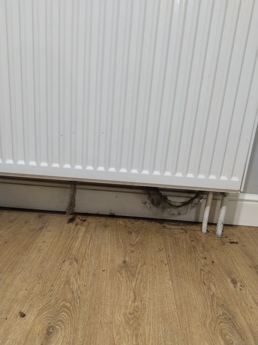 Уборка всех видов