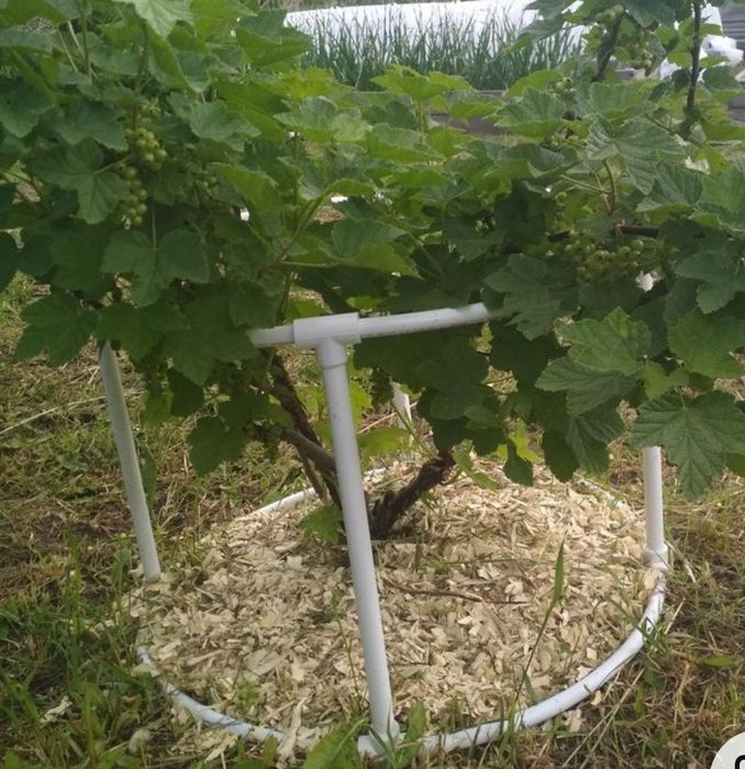 Conectori și tije metalice