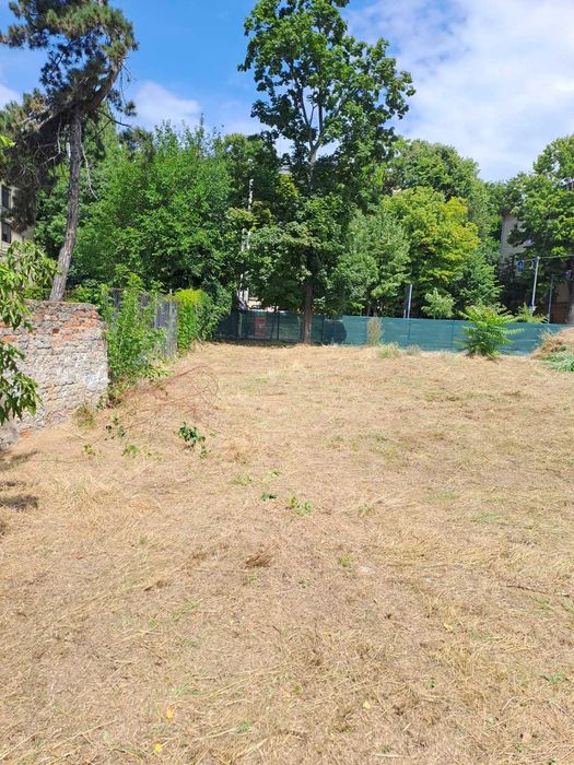 copaci si gradina , gazon si iarba nedorita