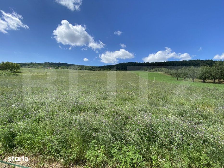 Teren intravilan in suparafat de 19213 mp, zona Valea Mitii