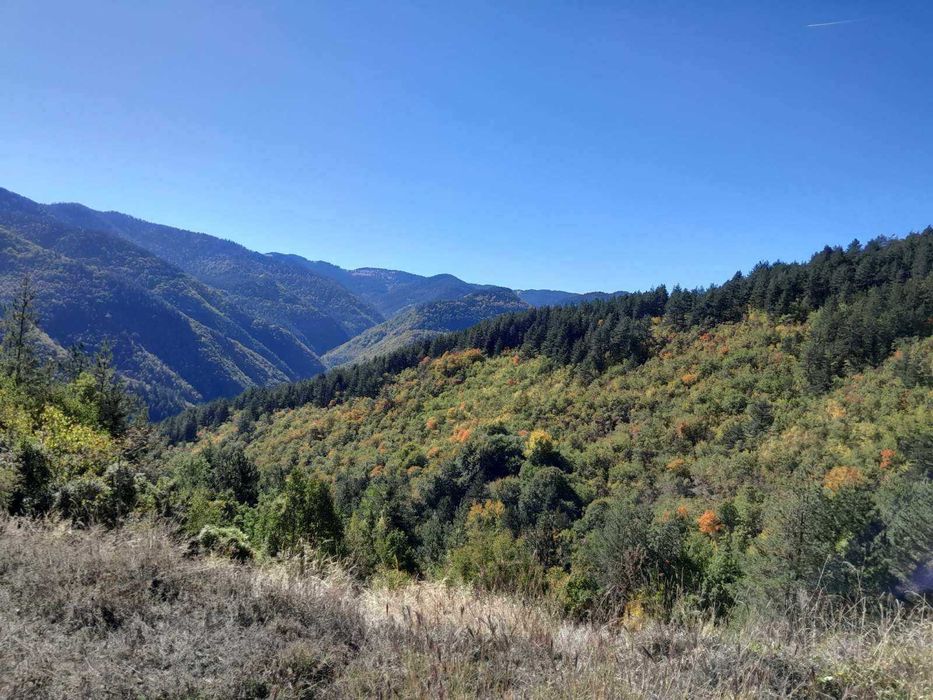 Продава се Къща в Пловдив, Център - 100 кв.м за 403 €/кв.м - Снимка #12