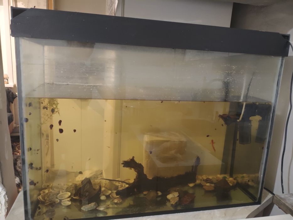 Аквариум 80 литров