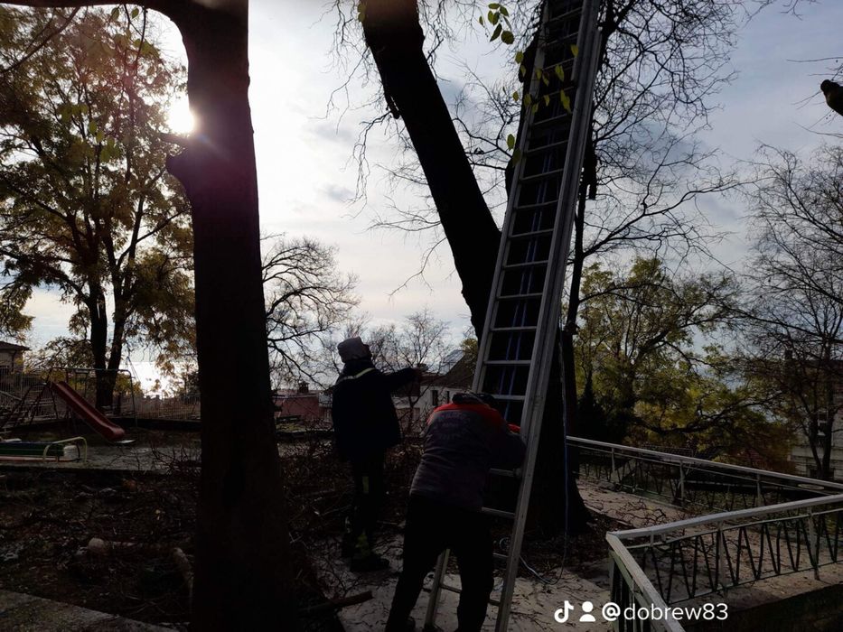 Рязане на високи опасни дървета