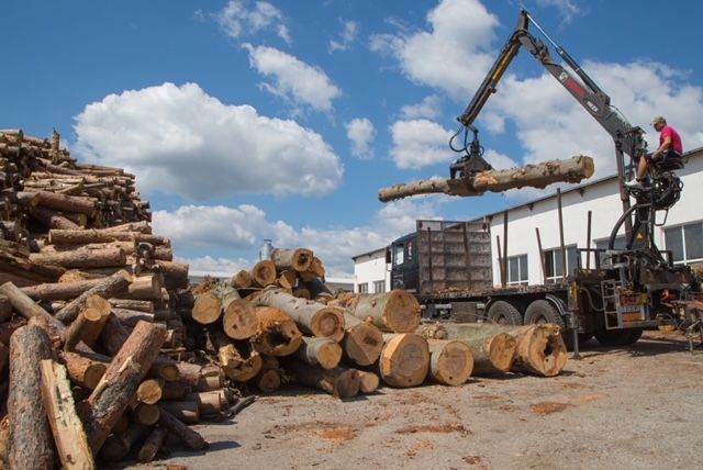 Продава се Промишлена сграда в Търговище, Промишлена зона - 5460 кв.м за 363 €/кв.м - Снимка #2