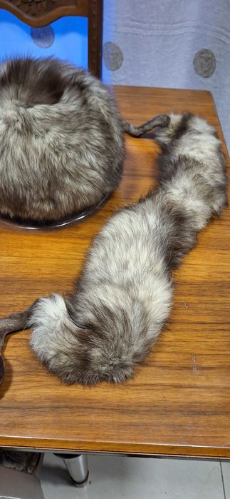 haina vulpe argintie noua 900lei caciula vulpe argintie 120lei toca 90