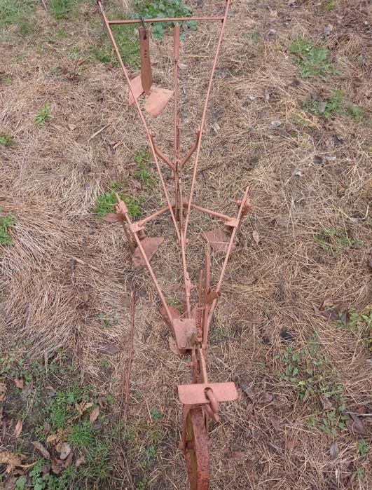 Prășitoare de cal.