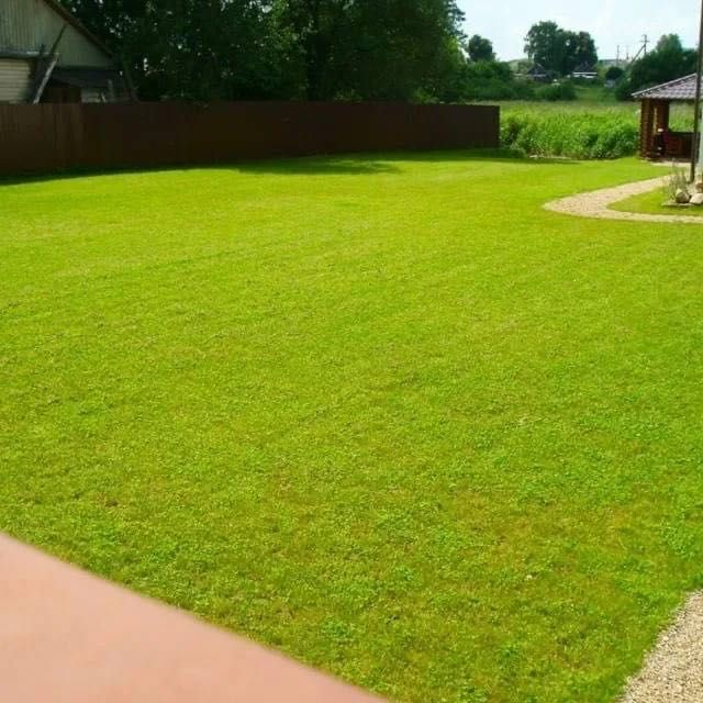 Газон ориш хизмати