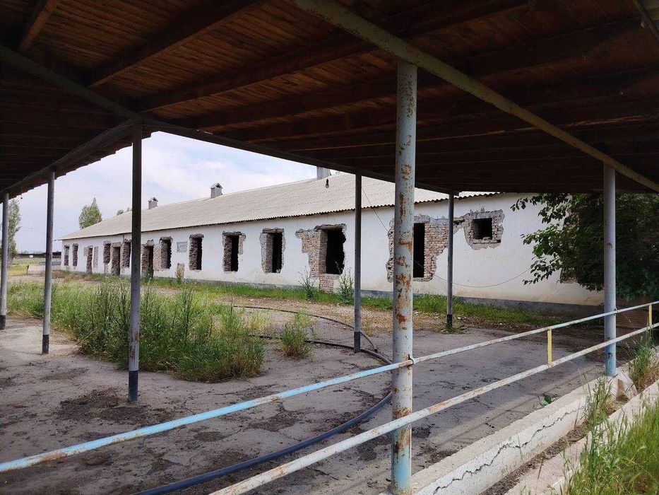 Продаётся фермерское хозяйство