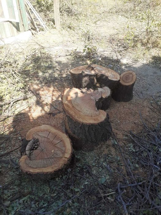 Дрова фруктовые напиленные