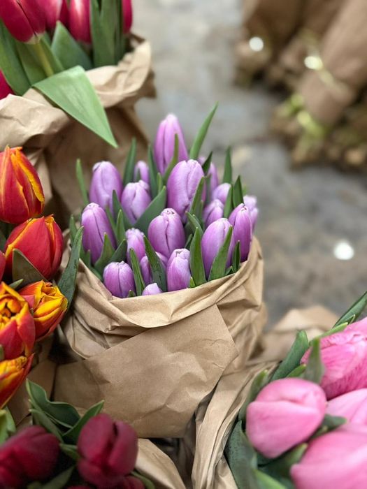 Тюльпаны оптом и в розницу