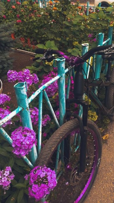 Велик для станта