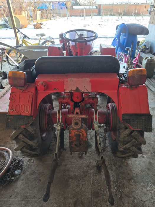 Oua gaini brahma metisi