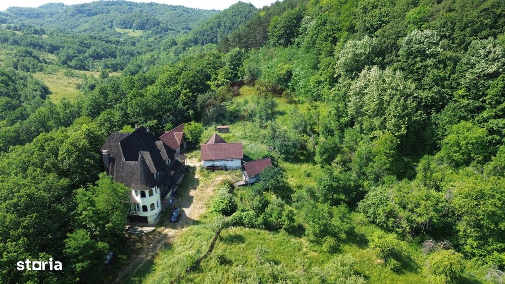 Castel de Vanzare IN MARAMURES