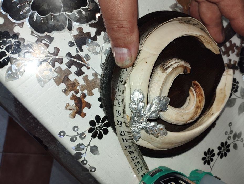 Красиви трофейи от елени