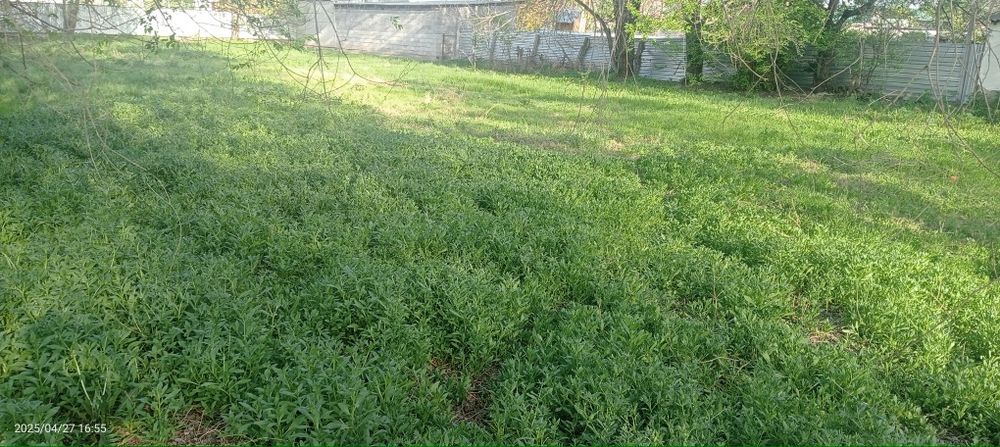 Участок Жанакурлусе