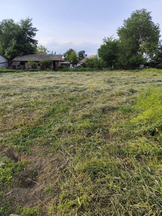 TEREN INTRAVILAN MUCHEA SILISTEA BRAILA