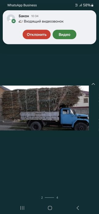 Камыс бар бауланған