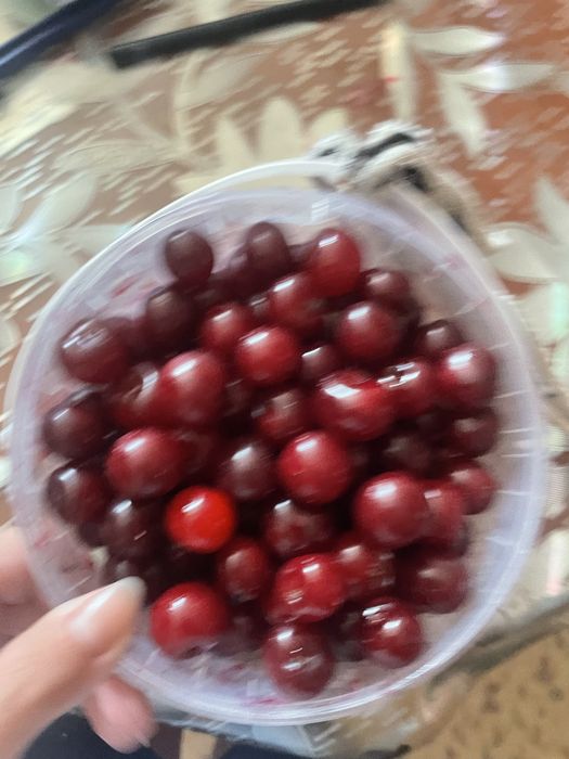 Продам вишню кисло сладкую