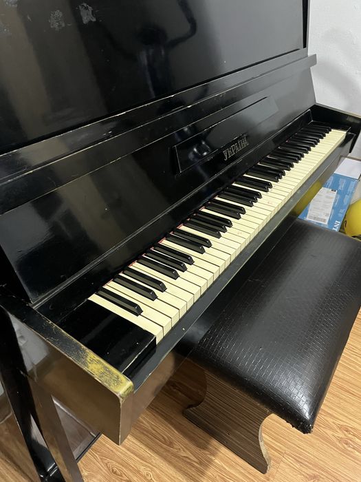 Vand pianina ukraina placa de bronz!