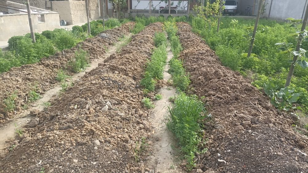 Биогумс сотилади бешли