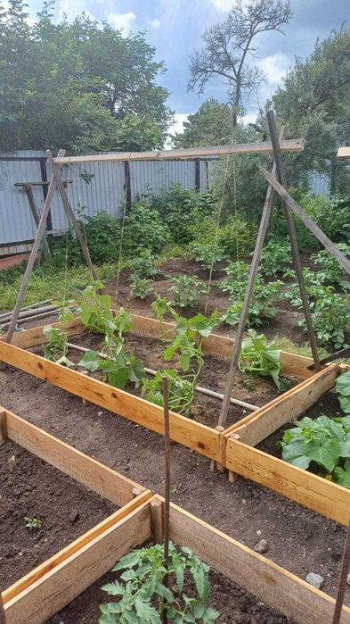 продам дачу для работы и отдыха