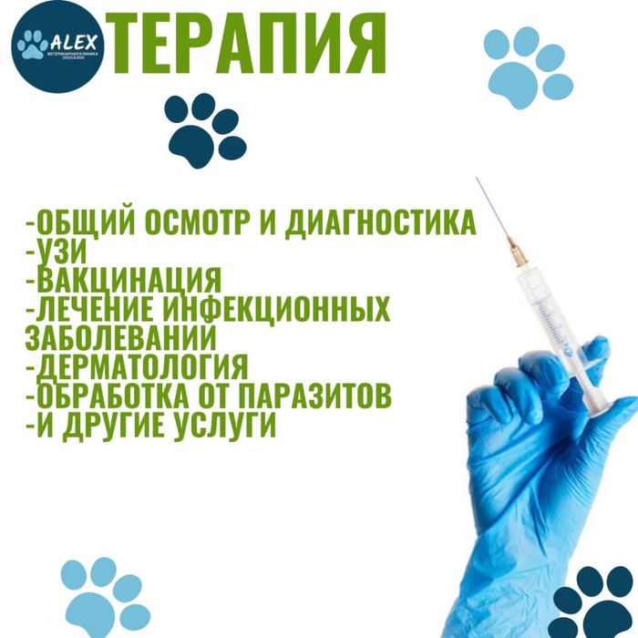 Ветеринарная клиника в городе Каскелен