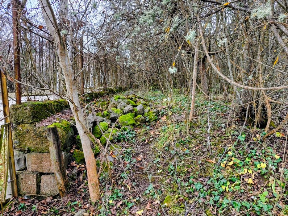 Продава се Парцел в София, Карпузица - 980 кв.м за 11 €/кв.м - Снимка #6