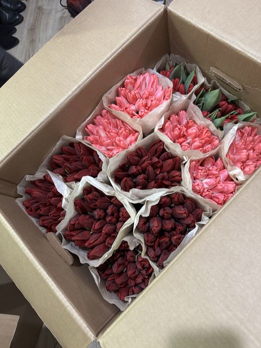 Премиальные белорусские тюльпаны