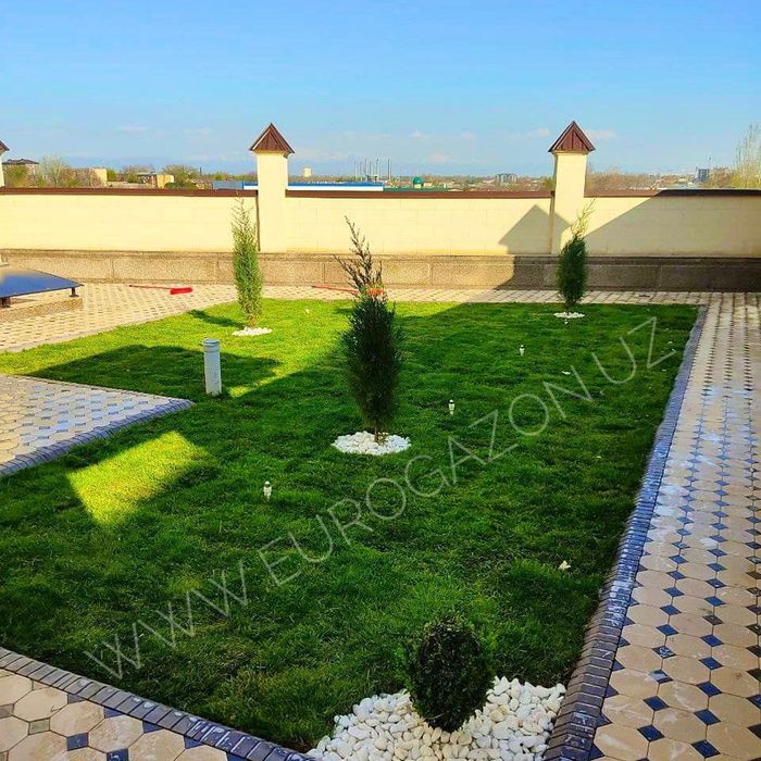 Газон: рулонный и посевной, ландшафтный дизайн, деревья и растения