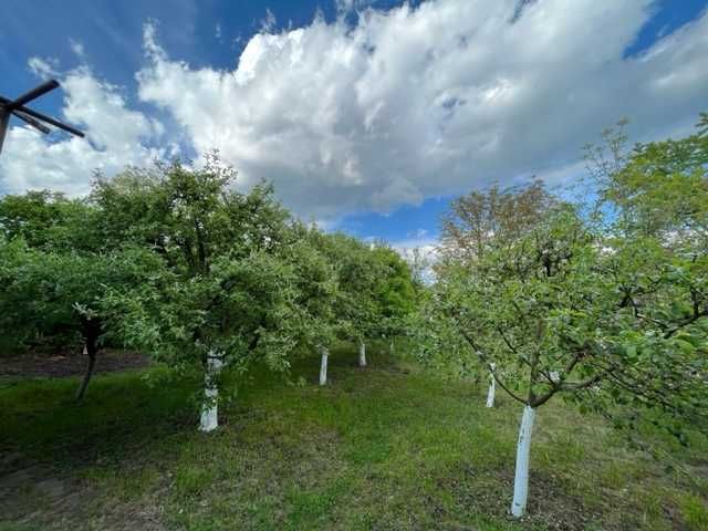 Продава прекрасна къща в село Долно Сахране,