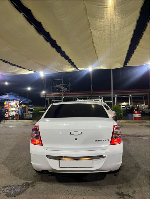 Oq Cobalt 2022 ideal