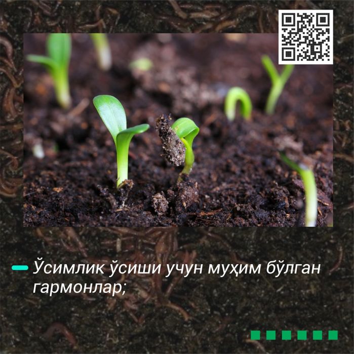 Assalomu alaykum arganika toza biogomus maxsulotlari bor va kompost