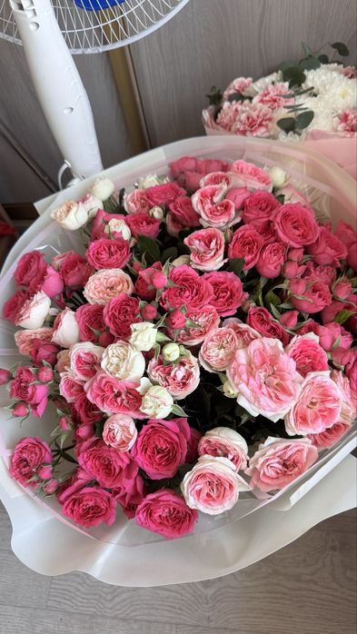 свежые  красивые цветы