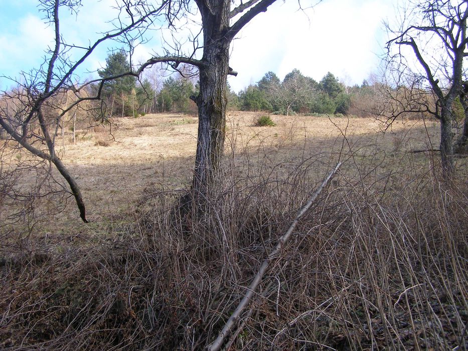 Casa si gradina in Brasov