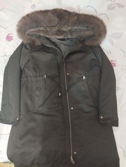 Продам пихора срочно