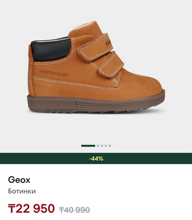 Kuoma, geox, nordmann